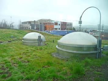 Chris Gildow, 'Green Roof, Ballard Branch, Seattle Public Library, with skylights'